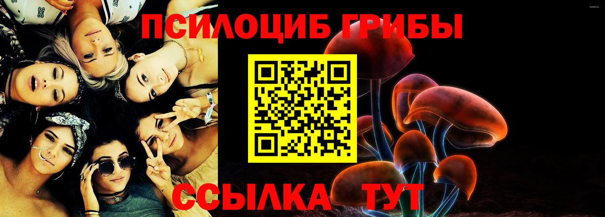 Галлюциногенные грибы MAGIC MUSHROOMS  закладка  Элиста  Вход с VPN  Псилоцибиновые грибы MAGIC MUSHROOMS 