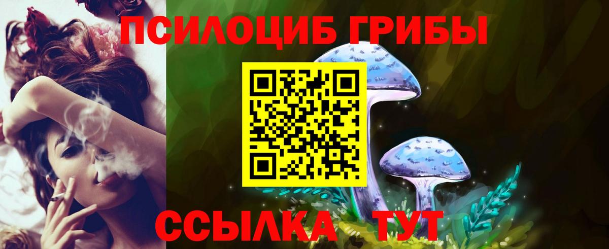Псилоцибиновые грибы ЛСД Элиста