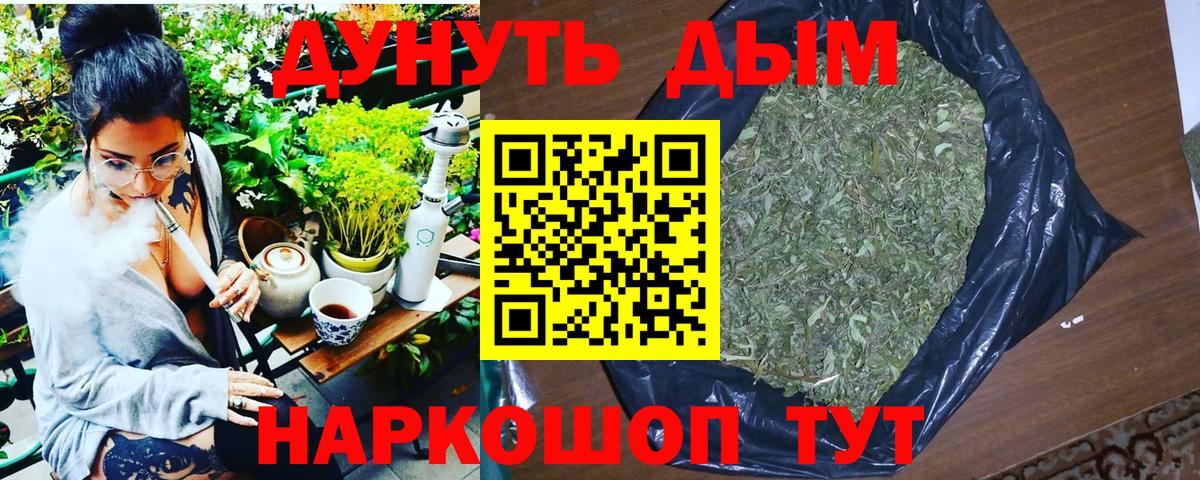 Элиста  Бошки Шишки тримм  Марихуана Amnesia  Вход с VPN  Бошки марихуана индика 